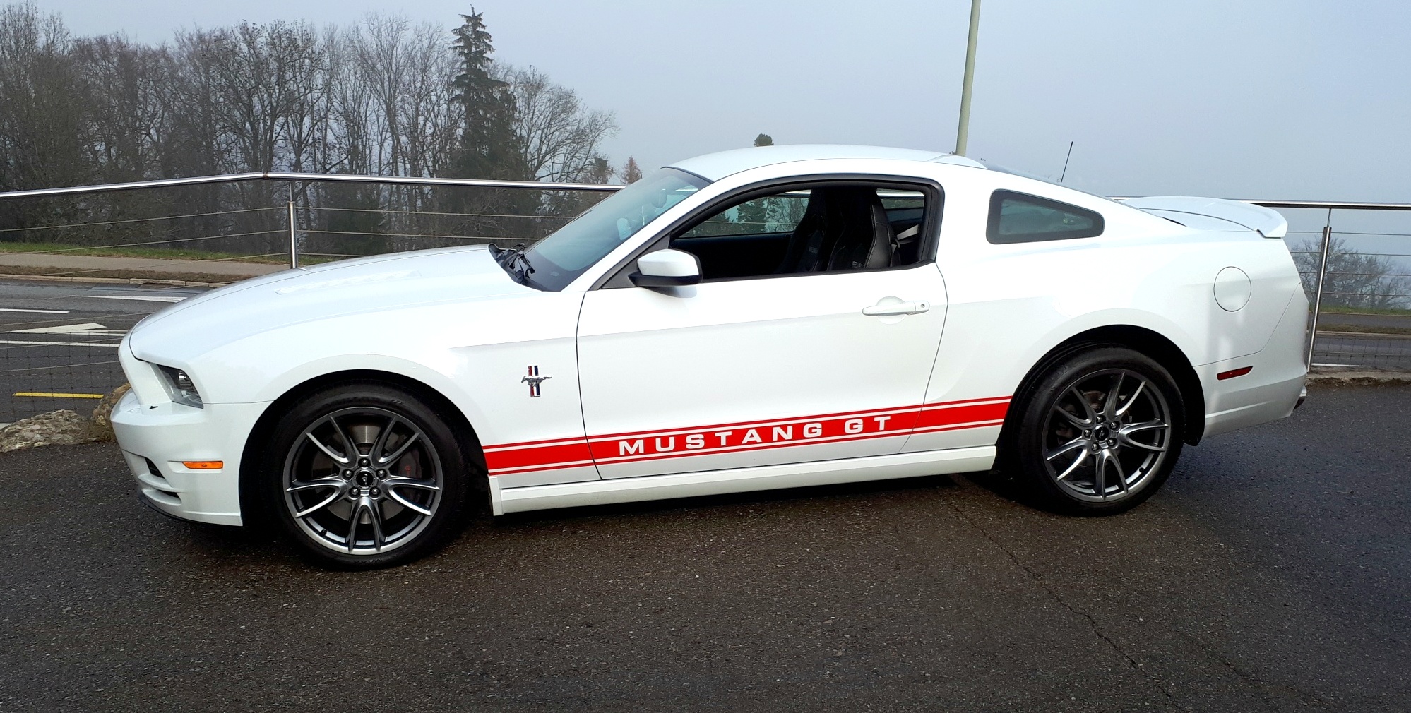 Mustang GT 13 ex Bachofner side