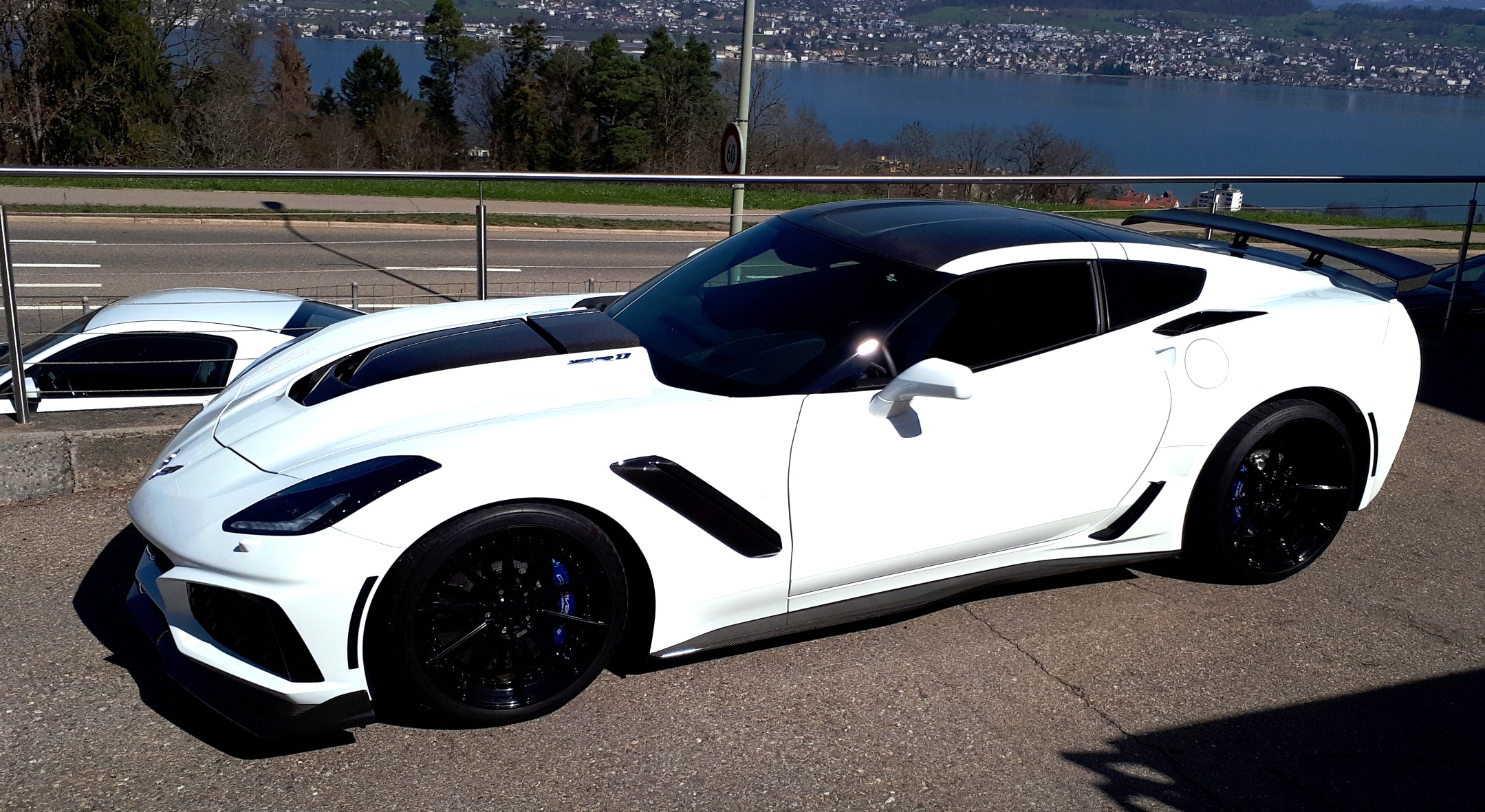 ZR119whiteDemoADVblack