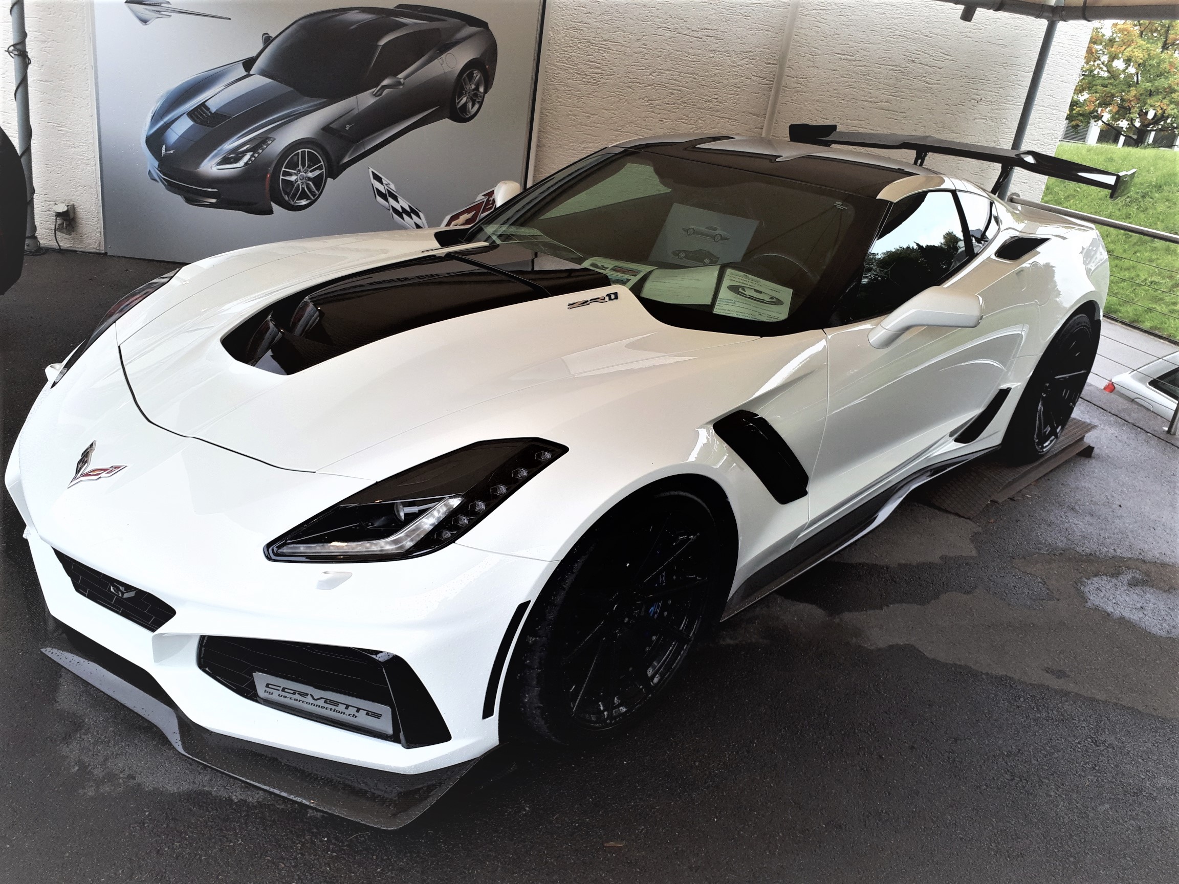 ZR1whitefrtsideramphighwing