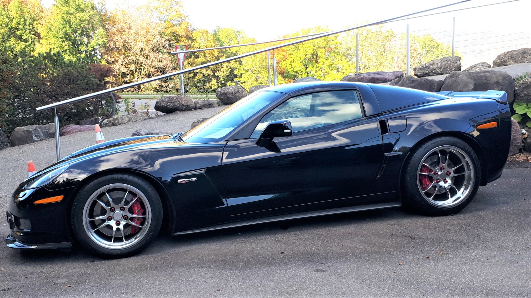 Z06exStrebelside