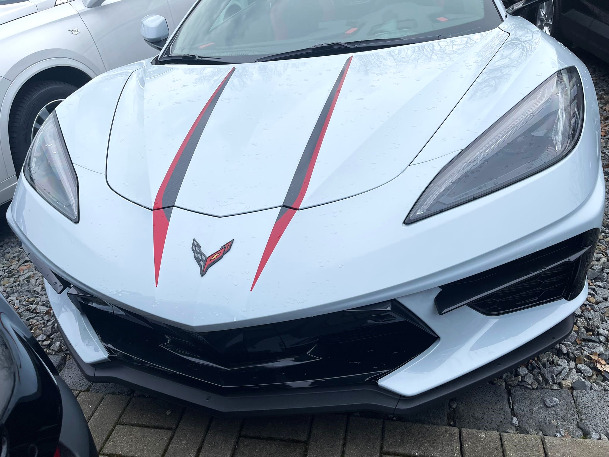 C8HTCCMGREYfrtHoodStingerstripes