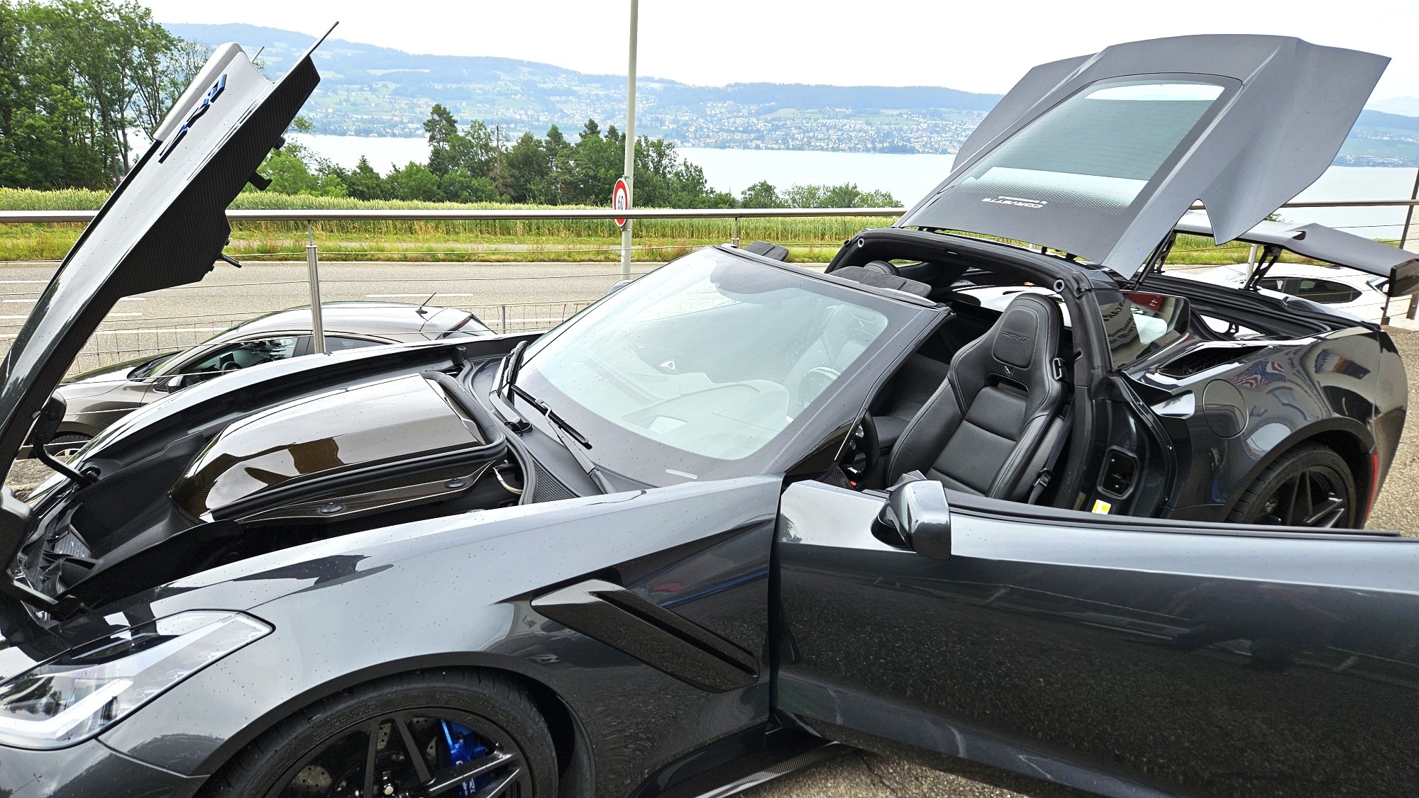 ZR119exRenevopendoorsside