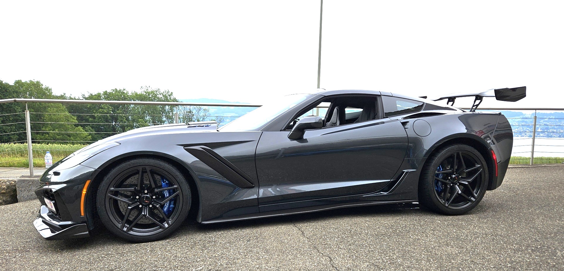 ZR119exRenevsidesilhouette