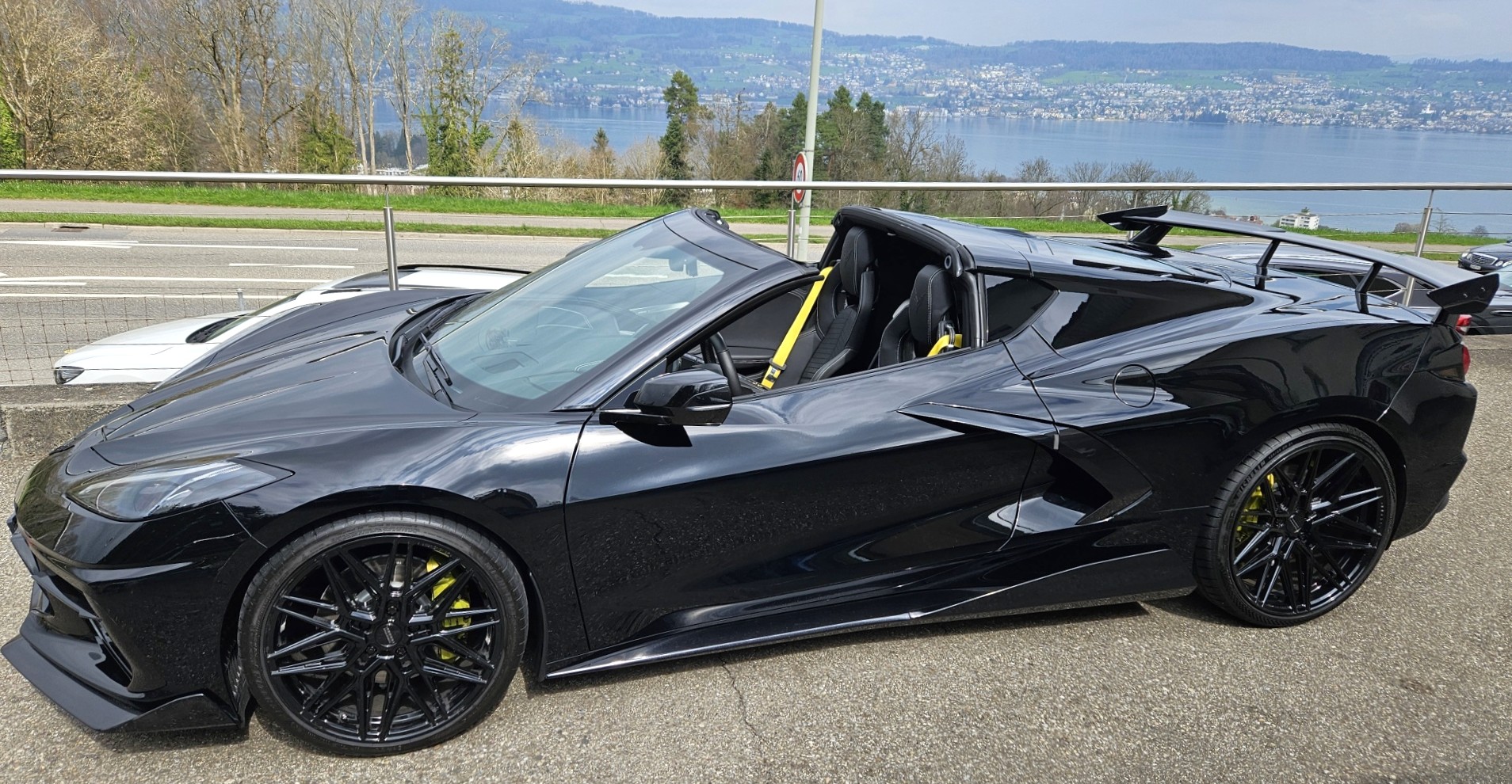 The Racy Stingray